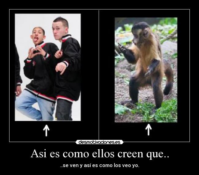 Asi es como ellos creen que.. - ..se ven y así es como los veo yo.