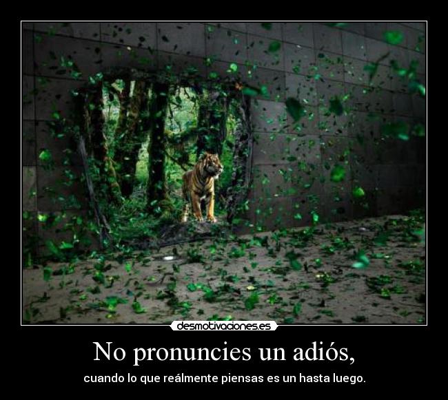 No pronuncies un adiós, - cuando lo que reálmente piensas es un hasta luego.