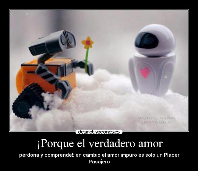 ¡Porque el verdadero amor - 
