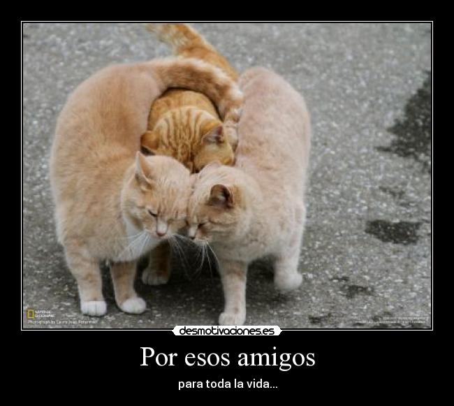 Por esos amigos -