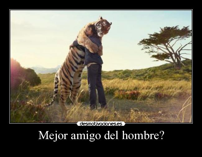 Mejor amigo del hombre? - 