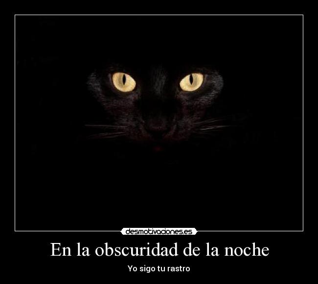 En la obscuridad de la noche -