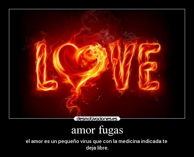 amor fugas -