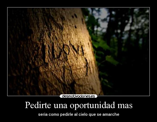 Pedirte una oportunidad mas - 