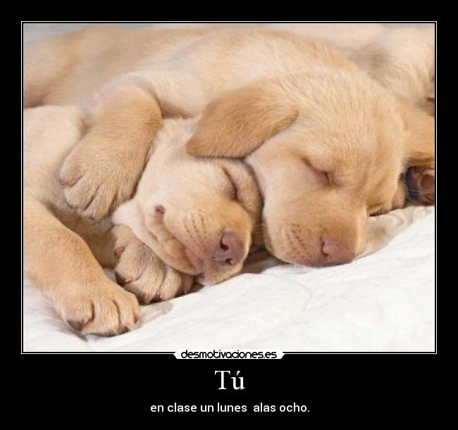 Tú - en clase un lunes  alas ocho.