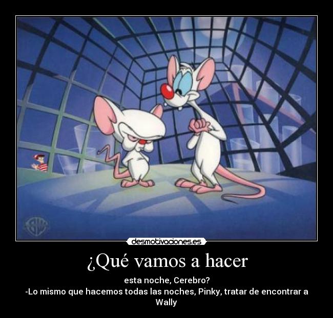 ¿Qué vamos a hacer - esta noche, Cerebro?
-Lo mismo que hacemos todas las noches, Pinky, tratar de encontrar a Wally