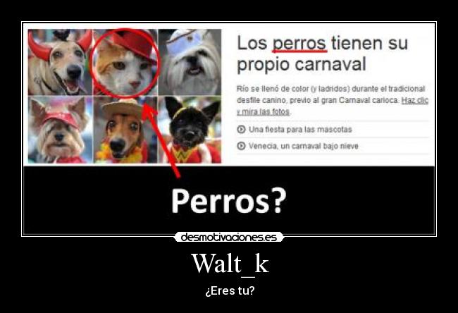 Walt_k - ¿Eres tu?