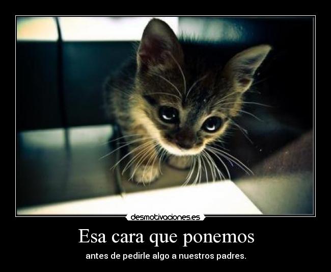 Esa cara que ponemos -