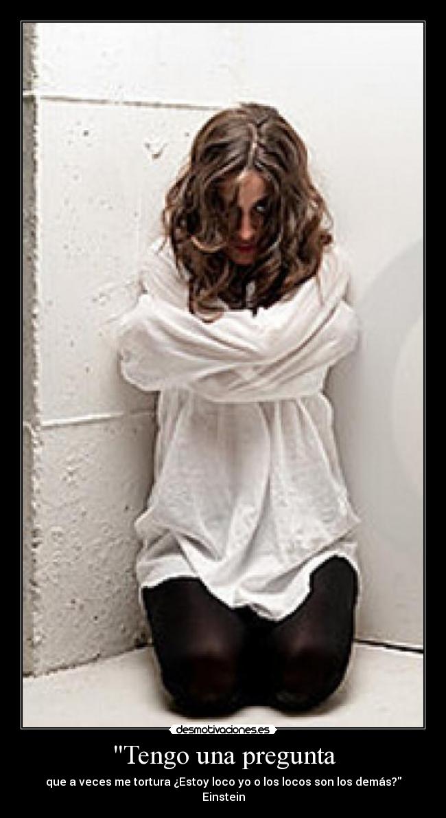 carteles tengo una pregunta estoy loco einstein desmotivaciones
