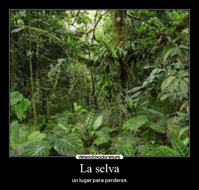 carteles fcbhj knlmn desmotivaciones