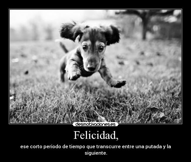 carteles felicidad putobastardo perrito jijiji que jrasioso como desmotivaciones