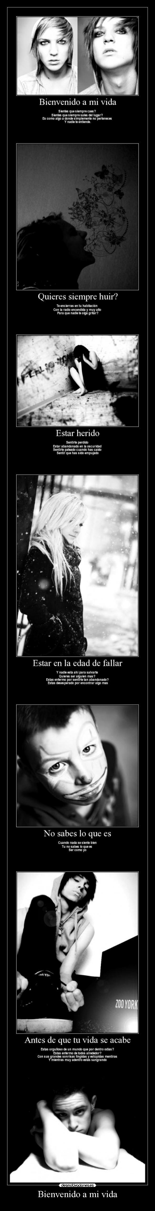 Bienvenido a mi vida - 