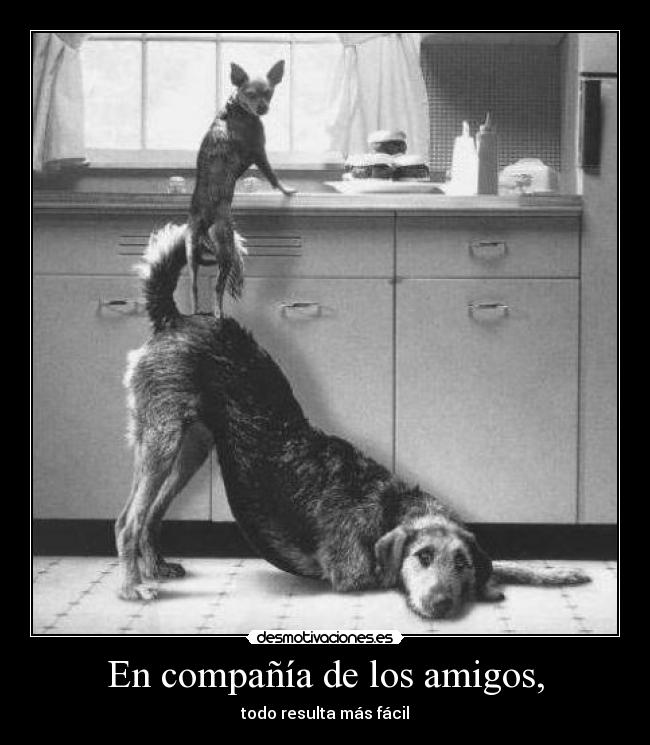 carteles amigos javi96 intruders crazyclub cienxcien desmotivaciones