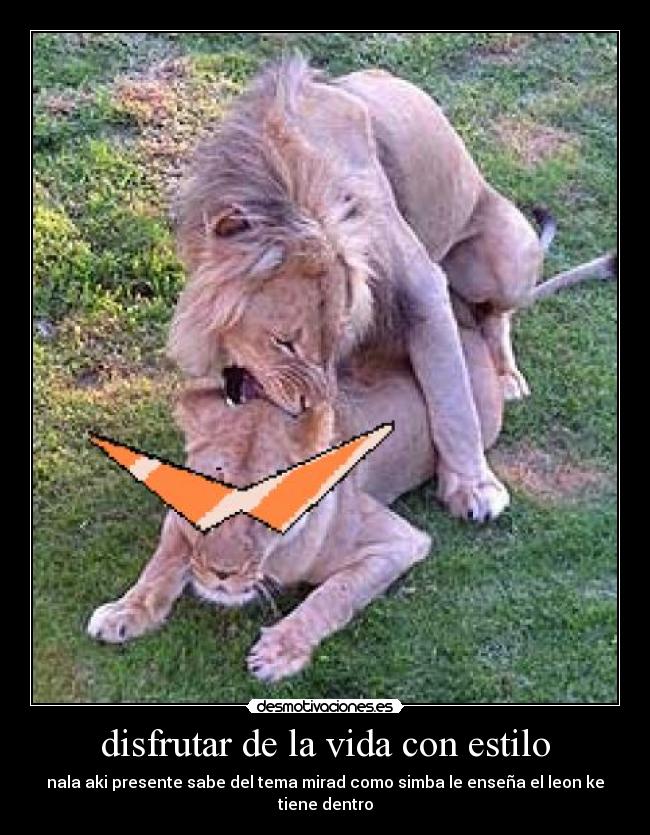 disfrutar de la vida con estilo - nala aki presente sabe del tema mirad como simba le enseña el leon ke tiene dentro