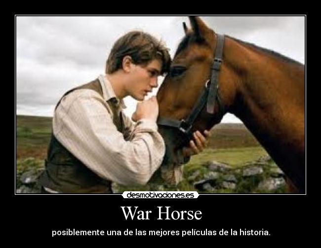 War Horse -