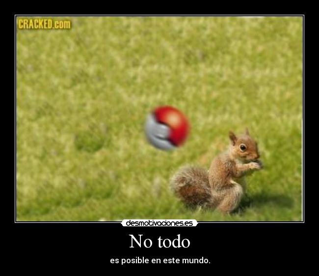 No todo -
