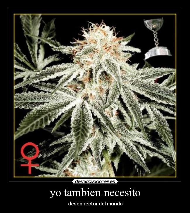 yo tambien necesito -