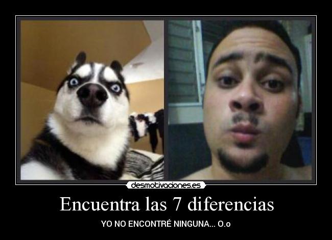Encuentra las 7 diferencias -