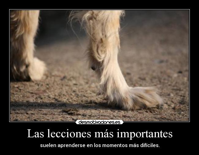 Las lecciones más importantes -
