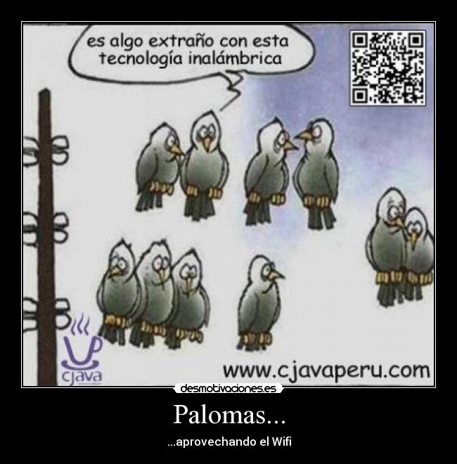 Palomas... - ...aprovechando el Wifi