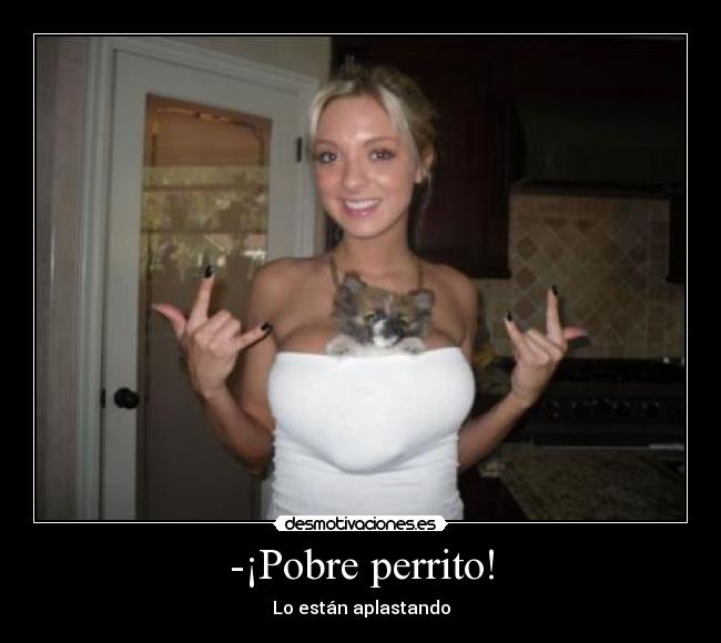 -¡Pobre perrito! - Lo están aplastando