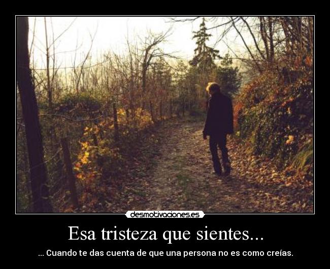 carteles tristeza falso tristeza amor amigo enemigo mejor amigo desmotivaciones