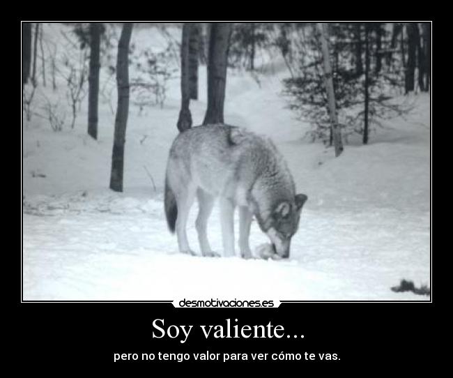 Soy valiente... - pero no tengo valor para ver cómo te vas.