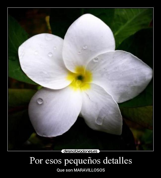 Por esos pequeños detalles - 