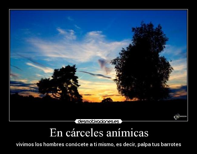 En cárceles anímicas -