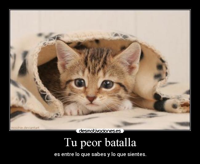 Tu peor batalla - es entre lo que sabes y lo que sientes.