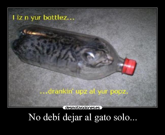 No debí dejar al gato solo... - 