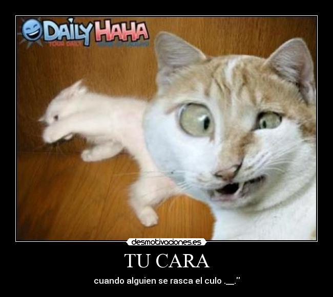 TU CARA - cuando alguien se rasca el culo .__.