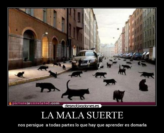 LA MALA SUERTE - nos persigue a todas partes lo que hay que aprender es domarla