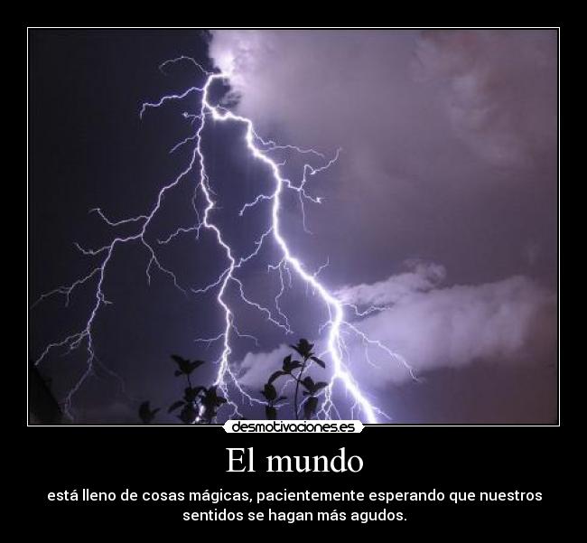 El mundo - 
