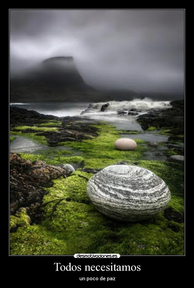 Todos necesitamos - 