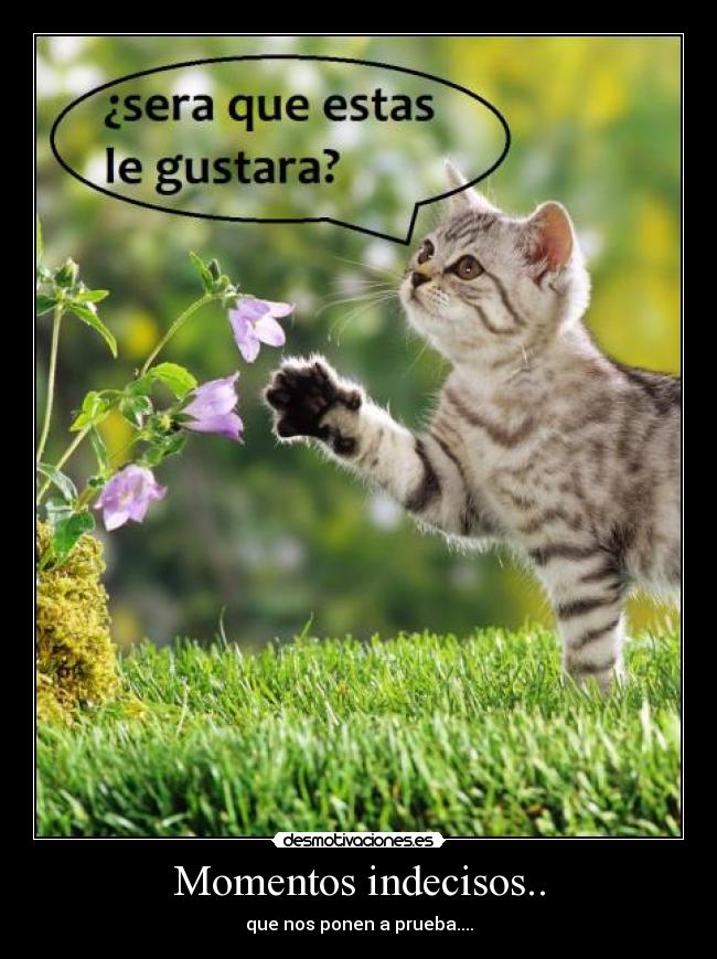 Momentos indecisos.. -