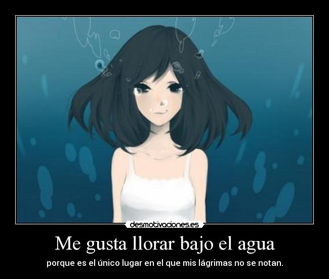 carteles llorar modificado poco porque convencia mucho ver borro cono xddd desmotivaciones