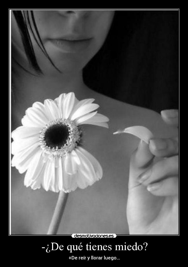 carteles miedo crybaby desmotivaciones