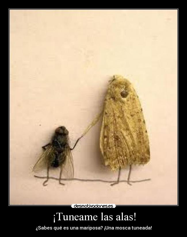 ¡Tuneame las alas! -