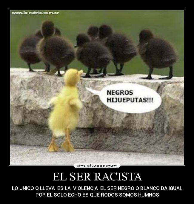 carteles luis desmotivaciones