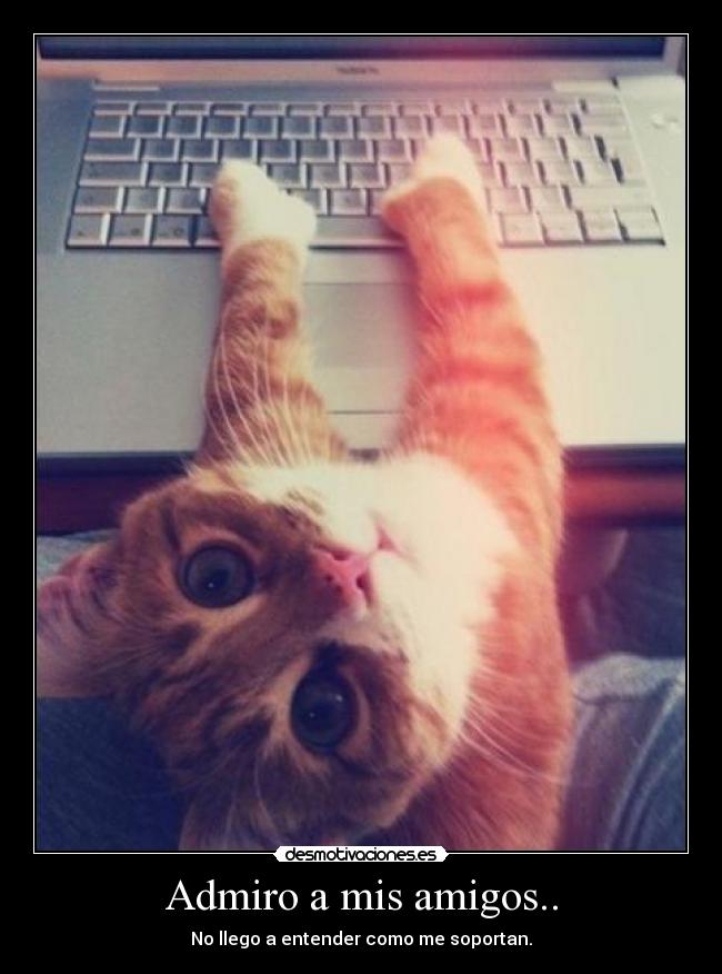 carteles amigos desmotivaciones