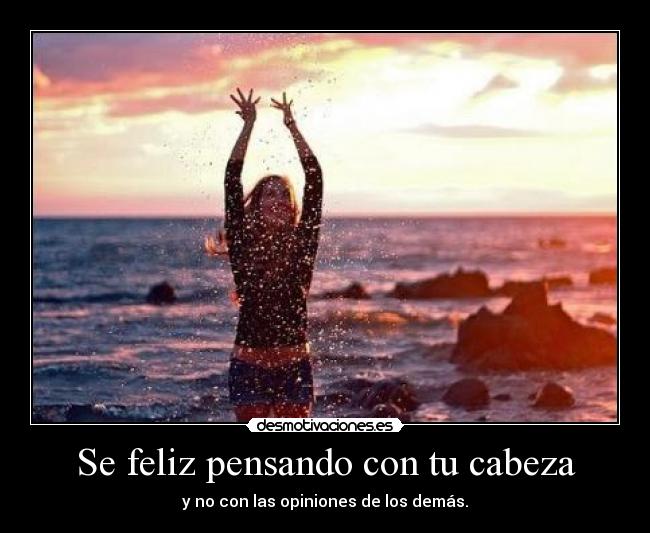 carteles miau desmotivaciones