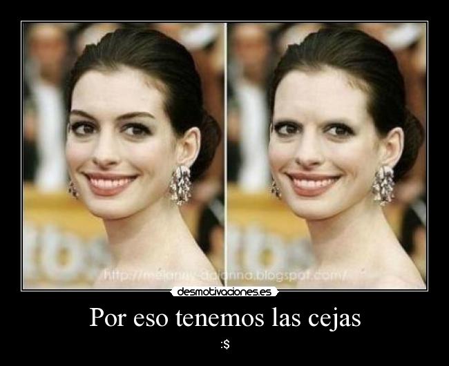 Por eso tenemos las cejas - :$