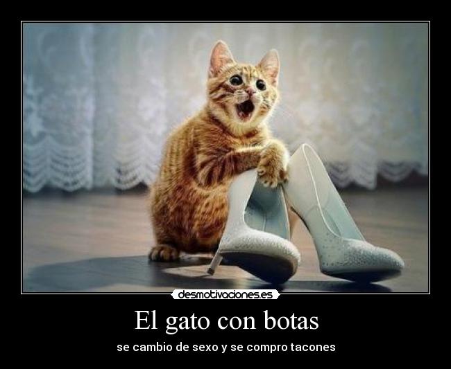 El gato con botas - se cambio de sexo y se compro tacones