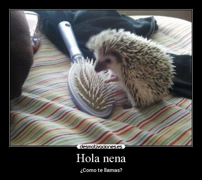 Hola nena -