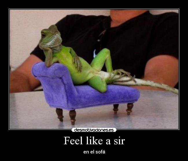 Feel like a sir - en el sofá