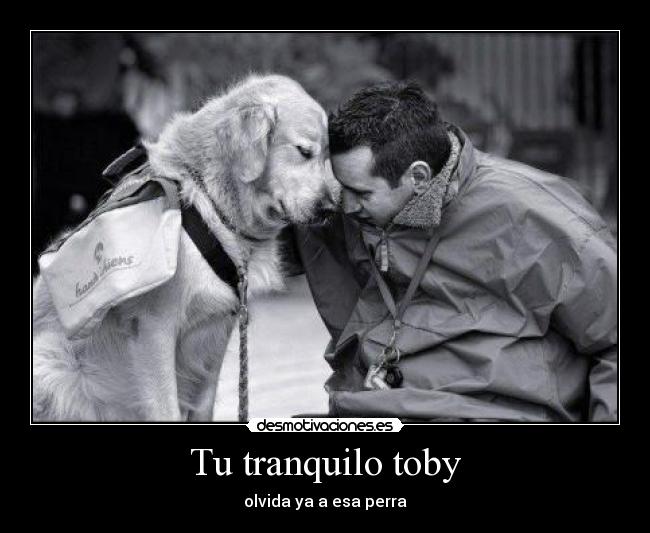 Tu tranquilo toby - 