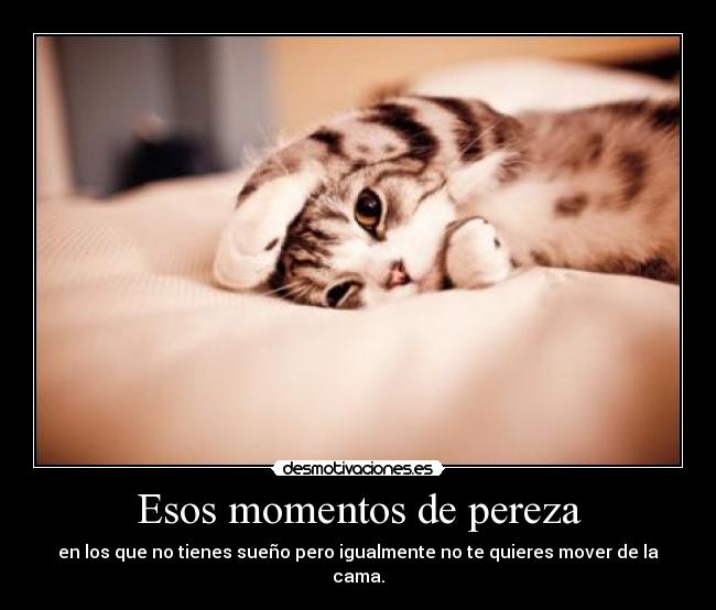 Esos momentos de pereza -