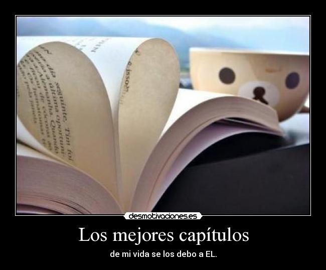 carteles miau desmotivaciones