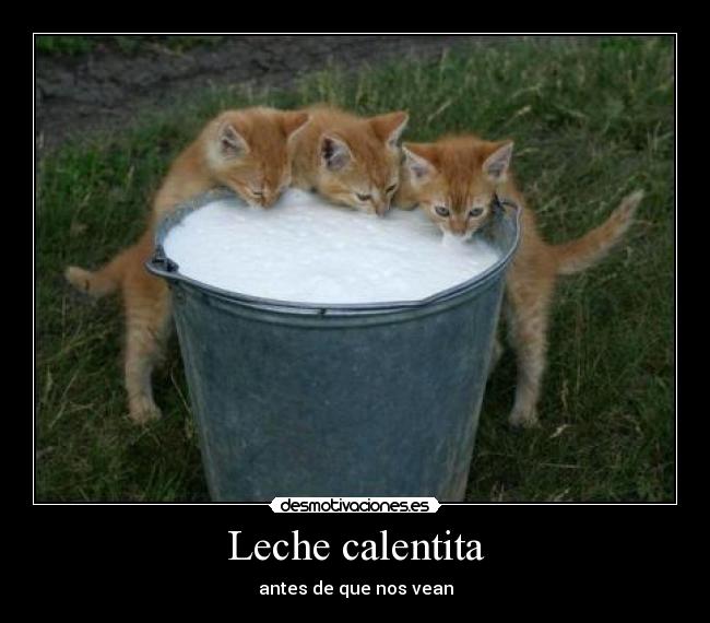 Leche calentita - antes de que nos vean